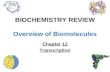 BIOCHEMISTRY REVIEW Overview of Biomolecules Chapter 12 Transcription.