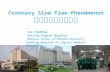 Coronary Slow Flow Phenomenon 冠状动脉慢血流现象 Hui YongMing Beijing Fengtai Hospital Medical Center of FengTai District Teaching Hospital of Capital Medical University.