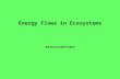 Energy Flows in Ecosystems AP Env Sci 2011-2012. Why Green? Reminder: Photosynthesis “sets the table” for all energy flows that follow: Converts Low Potential.