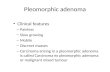 Pleomorphic adenoma Clinical features – Painless – Slow growing – Mobile – Discreet masses – Carcinoma arising in a pleomorphic adenoma is called Carcinoma.