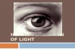 HUMAN PERCEPTION OF LIGHT. Perceiving Light  Visual perception is a very complex process that involves both eyesight and using your brain to make sense.