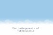 The pathogenesis of Tuberculosis. What is TB? These particles, called airborne droplet nuclei. These droplets can remain airborne for minutes to hours.