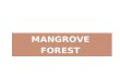 MANGROVE FOREST. OBJECTIVES Describe the distribution of mangroves. Describe climatic features of MG areas. Describe & explain the features of MG. Describe.