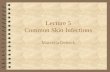 Lecture 5 Common Skin Infections Marcella Debeck.