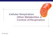 AP Biology Cellular Respiration Other Metabolites & Control of Respiration.