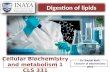 Digestion of lipids Dr. Samah Kotb Lecturer of Biochemistry 2015 Cellular Biochemistry and metabolism 1 CLS 331.