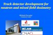 Track detector development for neutron and mixed field dosimetry Michele Ferrarini Fondazione CNAO.