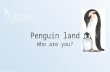 Penguin land Who are you?  Sally’s story.