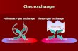 Gas exchange Tissue capillaries Tissue cells CO 2 O2O2 O2O2 Pulmonary capillary CO 2 O2O2 O2O2 Pulmonary gas exchangeTissue gas exchange