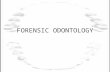 FORENSIC ODONTOLOGY. What is a Forensic Odontologist? A dentist, who consults in human identification cases, NOT FULL TIME Works with cases of violent.