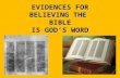 EVIDENCES FOR BELIEVING THE BIBLE IS GOD’S WORD. LOOKING FOR THE FINGERPRINT OF GOD.