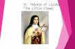 St. Thérèse of Lisieux “The Little Flower”. Full name: Marie Francoise Thérèse Martin Born in 2 January 1873 Youngest of 9 children (spoilt!) Mother died.