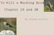 To Kill a Mocking Bird Chapter 29 and 30 By Tushar Mittal.