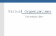 Virtual Organizations Introduction. Scope Virtual Organizations charactristics Virtual Organization and Virtual Team Virtual Organizations infrastructure