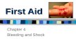 First Aid Chapter 4 Bleeding and Shock. External Bleeding ___________can be seen coming from an _______________ ______________.