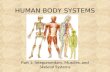HUMAN BODY SYSTEMS Part 1: Integumentary, Muscles, and Skeletal Systems.