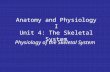 Anatomy and Physiology I Unit 4: The Skeletal System Physiology of the Skeletal System.