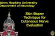 Johns Hopkins University Department of Neurology.