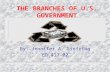 THE BRANCHES OF U.S. GOVERNMENT By: Jennifer A. Siefring ED 417-02.