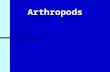 Arthropods. What is Entomology? The study of insects (and their near relatives). What are insects (and near relatives)? Insects and their relatives are.