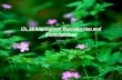 Ch. 38 Angiosperm Reproduction and Biotechnology.