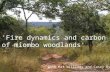 From  'Fire dynamics and carbon cycling of miombo woodlands' with Mat Williams and.