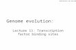 Genome Evolution. Amos Tanay 2010 Genome evolution: Lecture 11: Transcription factor binding sites.
