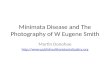Minimata Disease and The Photography of W Eugene Smith Martin Donohoe .