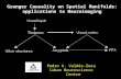 Granger Causality on Spatial Manifolds: applications to Neuroimaging Pedro A. Valdés-Sosa Cuban Neuroscience Centre.