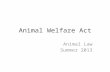 Animal Welfare Act Animal Law Summer 2013. 1969 Cuyahoga river – NE Ohio (to Lake Erie)