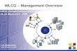 Les Les Robertson LCG Project Leader WLCG – Management Overview LHCC Comprehensive Review 25-26 September 2006.