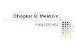 Chapter 9: Meiosis Pages 207-213. Sexual Reproduction the union of 2 specialized sex cells (gametes) to form a single cell called a zygote Gametes usually.