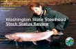 Washington State Steelhead Stock Status Review PACIFIC COAST STEELHEAD MEETING AMILEE WILSON WASHINGTON DEPARTMENT OF FISH & WILDLIFE MARCH 2004.