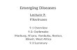 Emerging Diseases Lecture 9: Filoviruses 9.1 Overview 9.2: Outbreaks: Marburg, N’zara, Yambuku, Reston, Kikwit, West Africa 9.3 Summary.