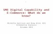 SME Digital Capability and E- Commerce: What do we know? Michelle Harrison and Drew Hird, BIS Enterprise Analysis October 2015 1.