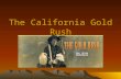 The California Gold Rush. January 24, 1848 The California gold rush began when gold was discovered at Sutter’s Mill, CA As the news of discovery spread,