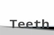 Teeth (singular, tooth) are structures found in the jaws of many vertebrates.  The primary function of teeth is to tear, scrape, chew and grind food.
