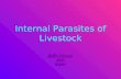 Internal Parasites of Livestock Jennifer Edmiston Per2 4/07/02.