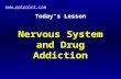 Today’s Lesson Nervous System and Drug Addiction 100’s of free ppt’s from  library .