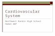 Cardiovascular System Northwest Rankin High School Human A&P.