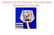 Effects of an Electric Current and Domestic Circuits Chapter 24.