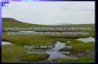 SYNTHESIS OF WATER BALANCE DATA FROM NORTHERN EXPERIMENTAL WATERSHEDS Douglas L. Kane and Daqing Yang University of Alaska Fairbanks.