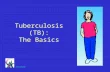 Tuberculosis (TB): The Basics Reviewed 2008. Infection begins… Infection begins when tubercule bacilli (TB germs) are breathed into the lung.