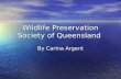 Wildlife Preservation Society of Queensland By Carina Argent.