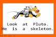 Look at Pluto. He is a skeleton. Week #10- look, at.