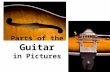 Parts of the Guitar in Pictures. Electric Guitar