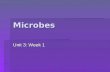 Microbes Unit 3: Week 1. Microbiology  Microbiology explores microscopic organisms including viruses, bacteria, protozoa, parasites and some fungi and.