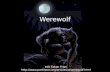Werewolf Info Taken From .