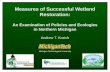 Measures of Successful Wetland Restoration: An Examination of Policies and Ecologies in Northern Michigan Andrew T. Kozich Michigan Technological University.