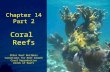 Chapter 14 Part 2 Coral Reefs Other Reef Builders Conditions for Reef Growth Coral Reproduction Kinds of Reefs.